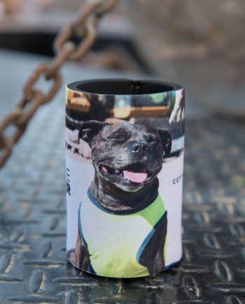 Staffordshire Bull Terrier Concreting