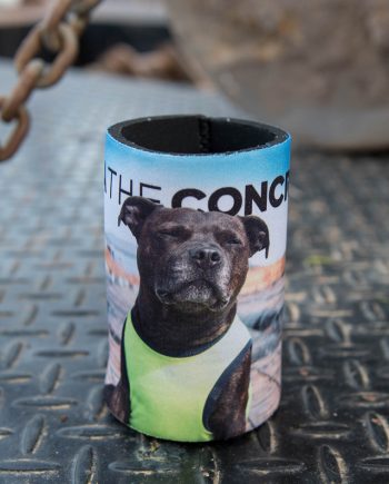 Staffordshire Bull Terrier Concreting